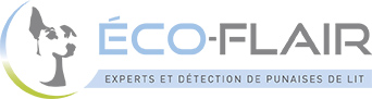 Logo ECO-FLAIR