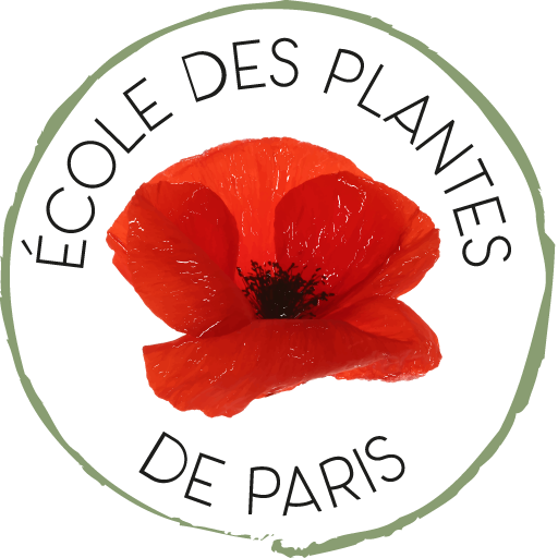 Logo ECOLE DES PLANTES