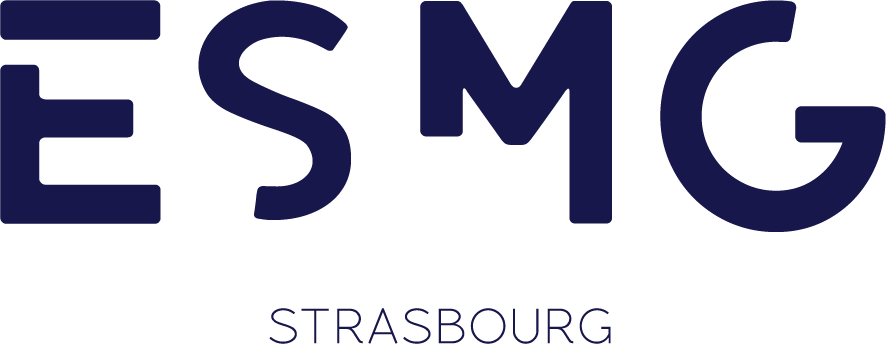 Logo ECOLE SUPERIEURE MANAGEMENT GESTION (ESMG)