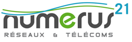 Logo EDICO NUMERUS (NUMERUS 21)