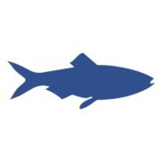 Logo EDITIONS DES FALAISES