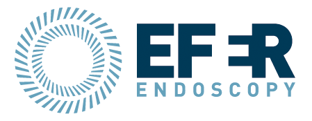 Logo EFER ENDOSCOPY