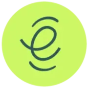 Logo EFFICIENCE