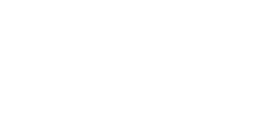 Logo EFIOS