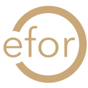 Logo EFOR GROUP