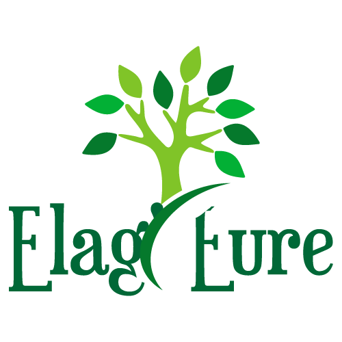 Logo ELAG'EURE