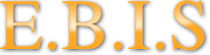 Logo ELECTRICITE BATIMENT INDUSTRIE SONORISATION (E B I S)