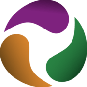 Logo EMMA. DOM SERVICE