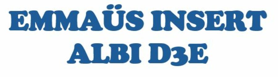 Logo EMMAUS INSERT