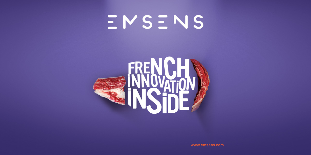Logo EMSENS ANTOINE