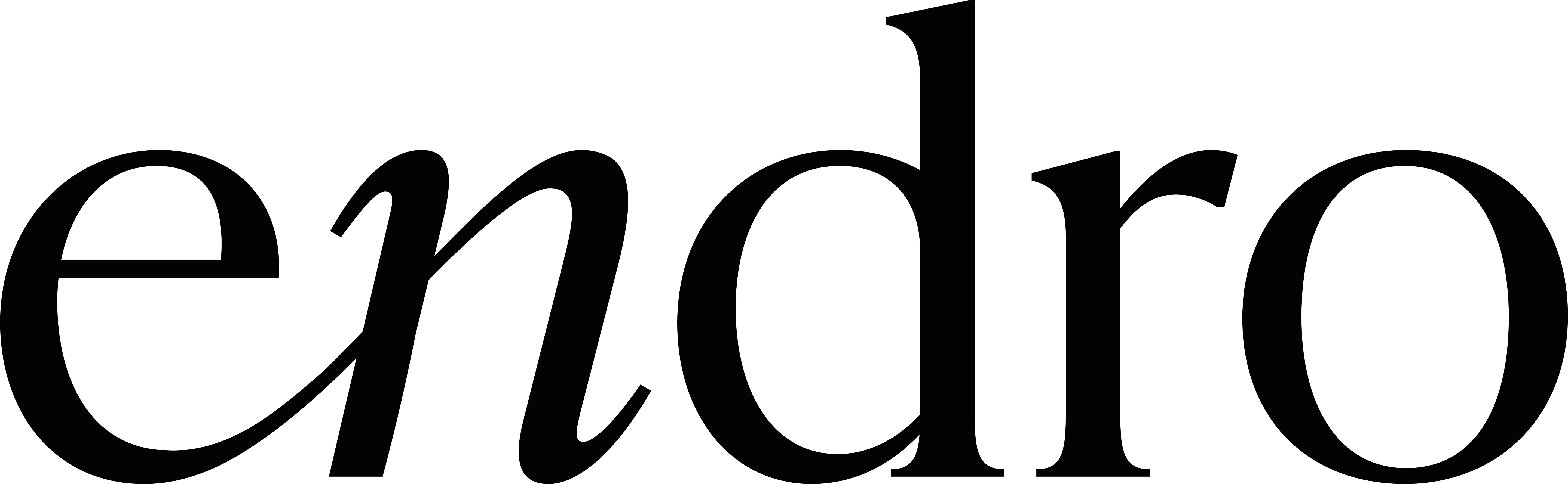 Logo ENDRO