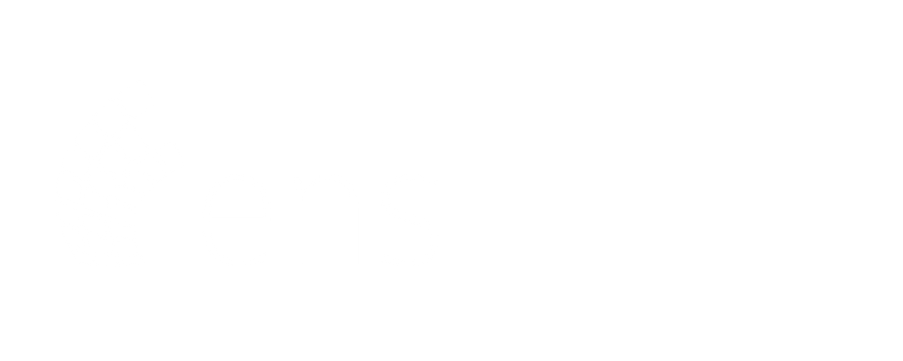 Logo ENS EUROPEAN NETWORK SERVICES