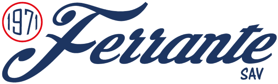 Logo ENTREPRISE FERRANTE SAV