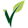 Logo ENTREPRISE VOIGNIER