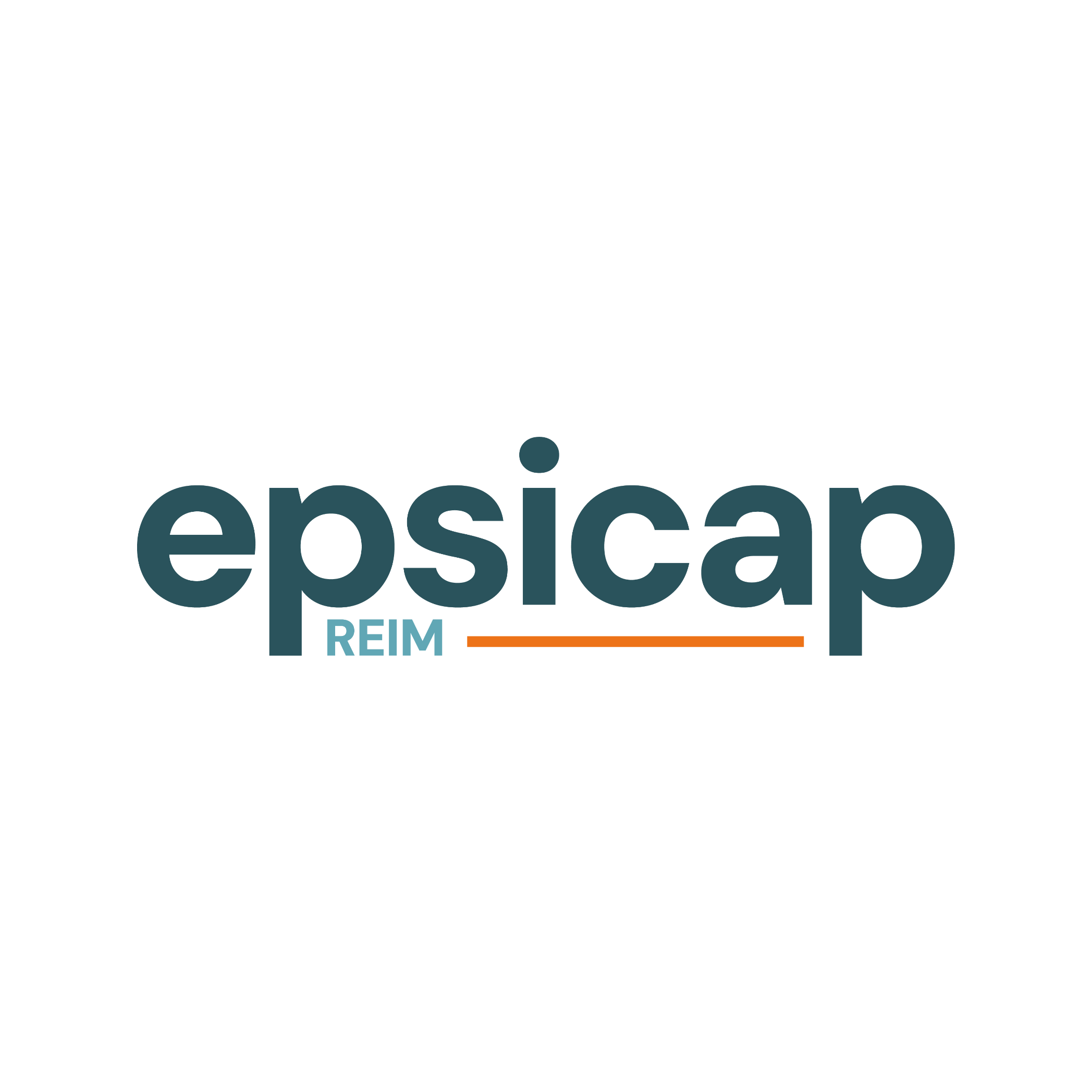 Logo EPSICAP REIM