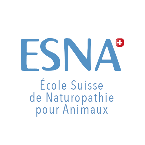 Logo ESNA