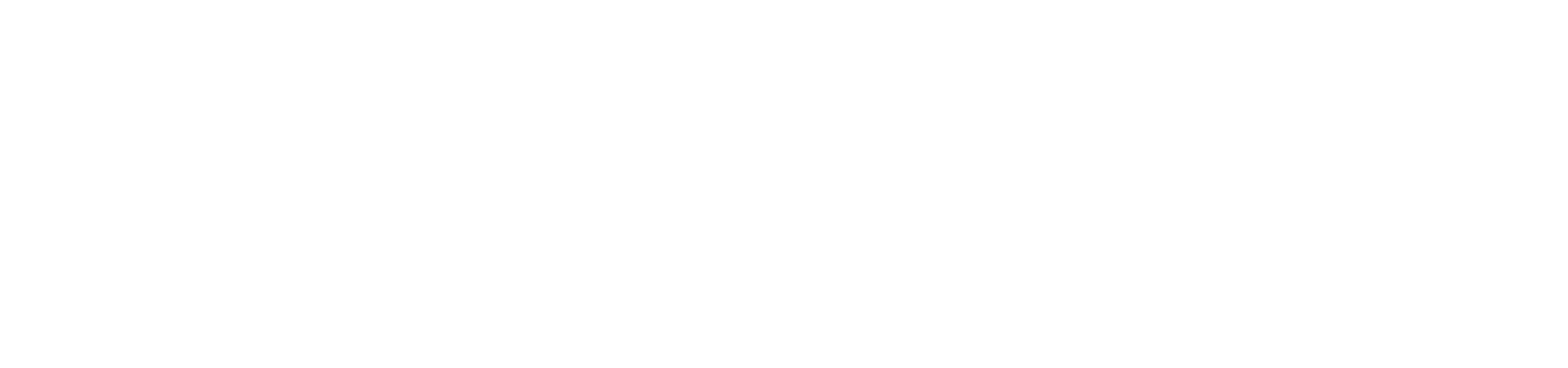 Logo ESPAS ESTICE ICM
