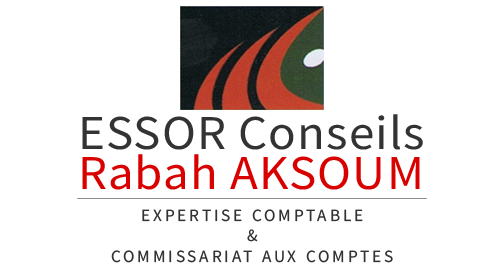 Logo ESSOR CONSEILS