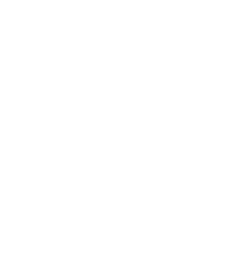 Logo ETABLISSEMENT BIASON