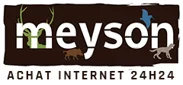 Logo ETABLISSEMENTS A MEYSON