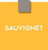 Logo ETABLISSEMENTS SAUVIGNET