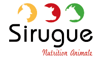 Logo ETABLISSEMENTS SIRUGUE