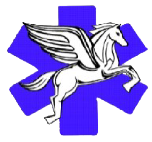 Logo ETS CAMILLERI