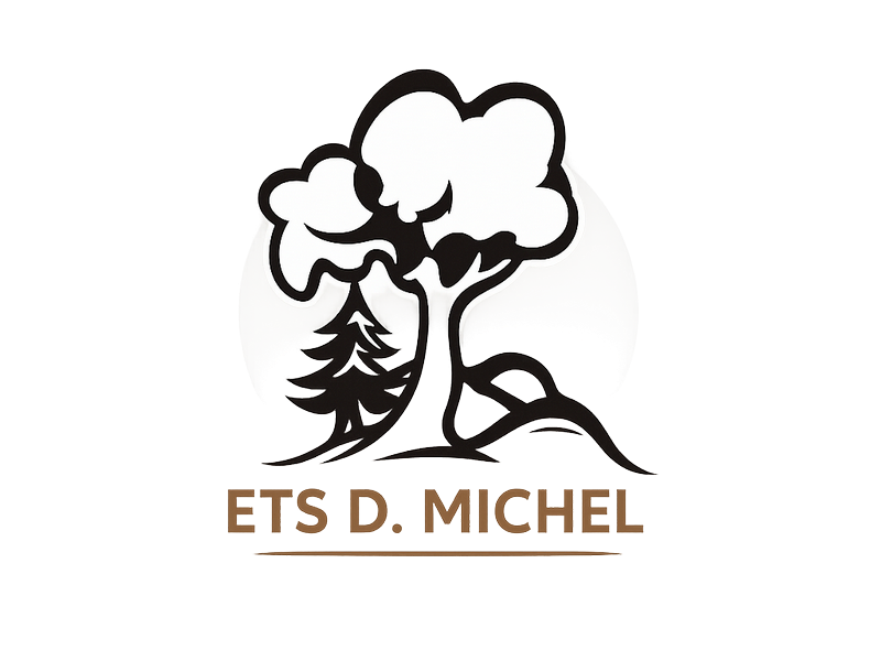 Logo ETS.D.MICHEL