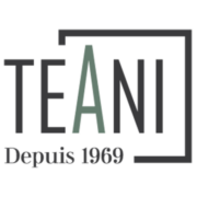 Logo ETS TEANI