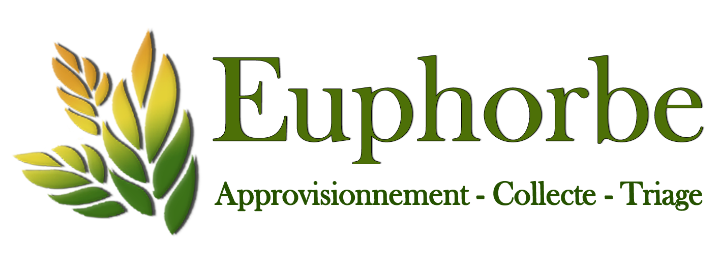 Logo EUPHORBE