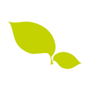 Logo EURL HEXTENSO