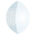 Logo EUROMI BIOSCIENCES