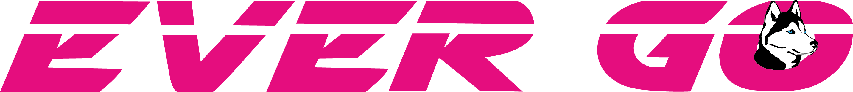 Logo EVER GO