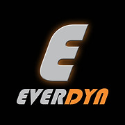 Logo EVERDYN