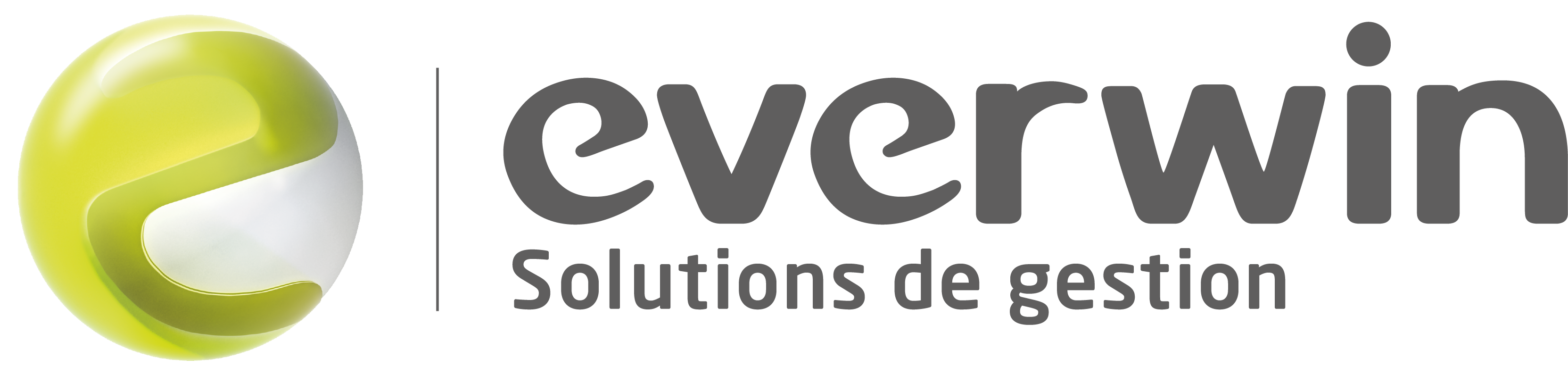 Logo EVERWIN