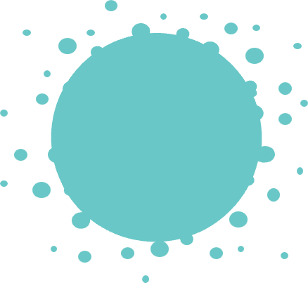 Logo EVERZOM (EVERZOM)