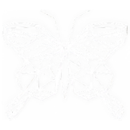 Logo EVIDENCE SANTE (EVIDENCE SANTE)
