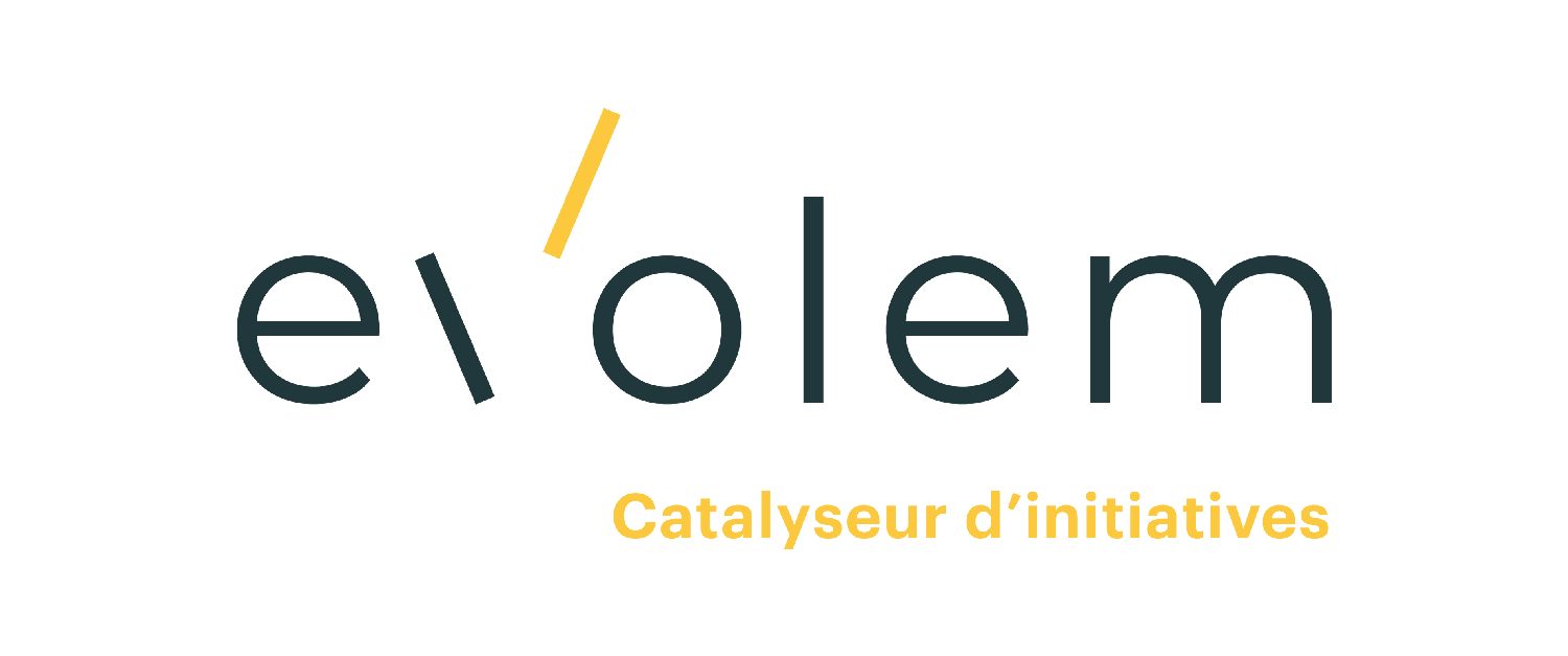 Logo EVOLEM