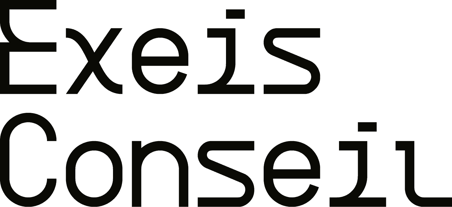 Logo EXEIS CONSEIL