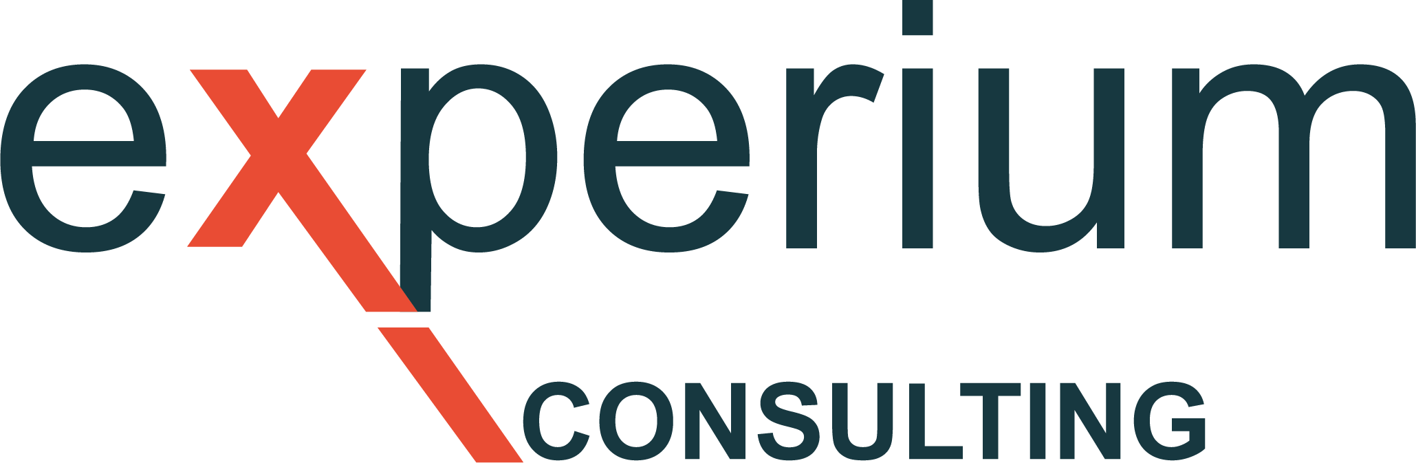 Logo EXPERIUM CONSULTING