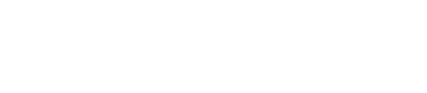 Logo EXPERT PLUS (EXPERT PLUS)