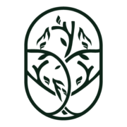 Logo FACULTE JEAN CALVIN INSTITUT DE THEOLOGIE PROTESTANTE ET EVANGELIQUE