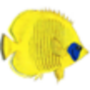 Logo FADIS DIVING