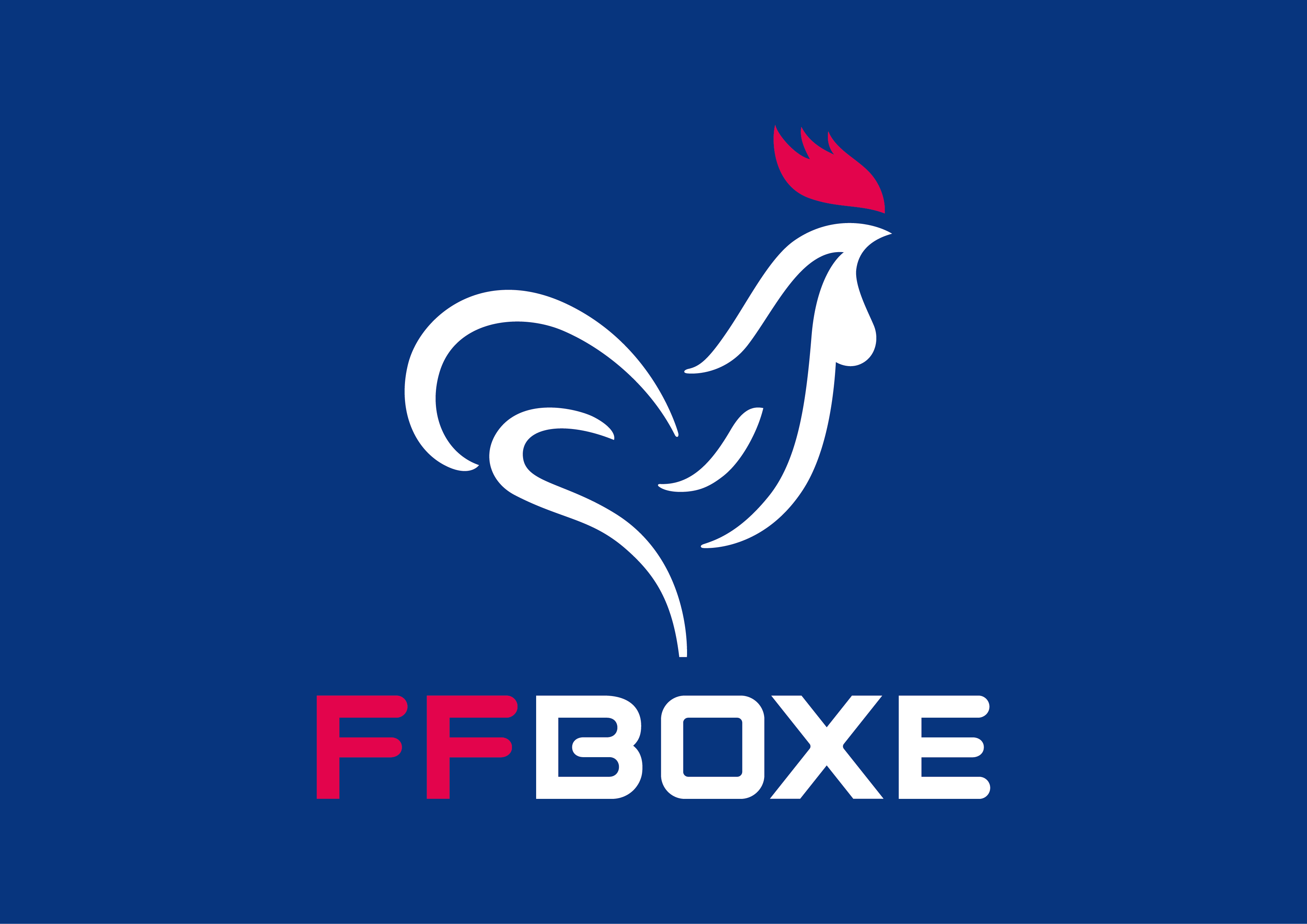 Logo FEDERATION FRANCAISE DE BOXE