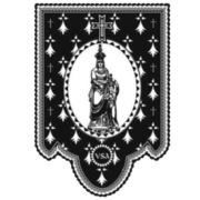 Logo FEIZ