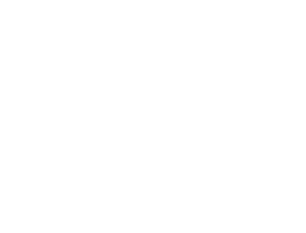 Logo FERRONNERIE RONCQUOISE