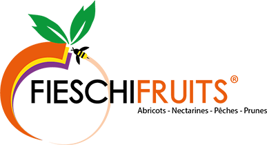 Logo FIESCHI FRUITS