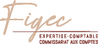 Logo FINANCE GESTION EXPERTISE COMPTABLE (FIGEC)