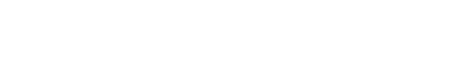 Logo FIRST SERVICES GROUP (FIRST SERVICES GROUP)