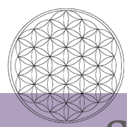 Logo FLEUR DE VIE SERVICES